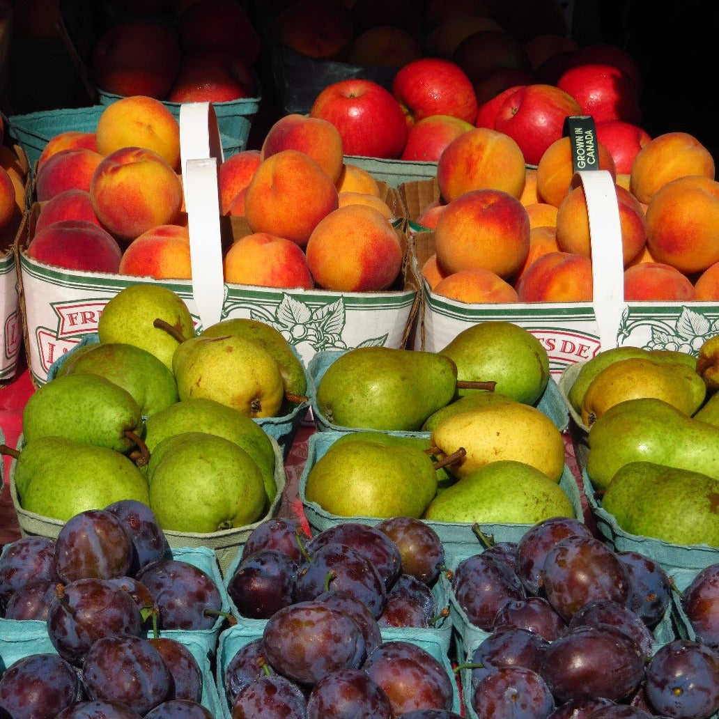 MATZ FRUIT BARN - Fruit and Veggies Box - Available Weekly