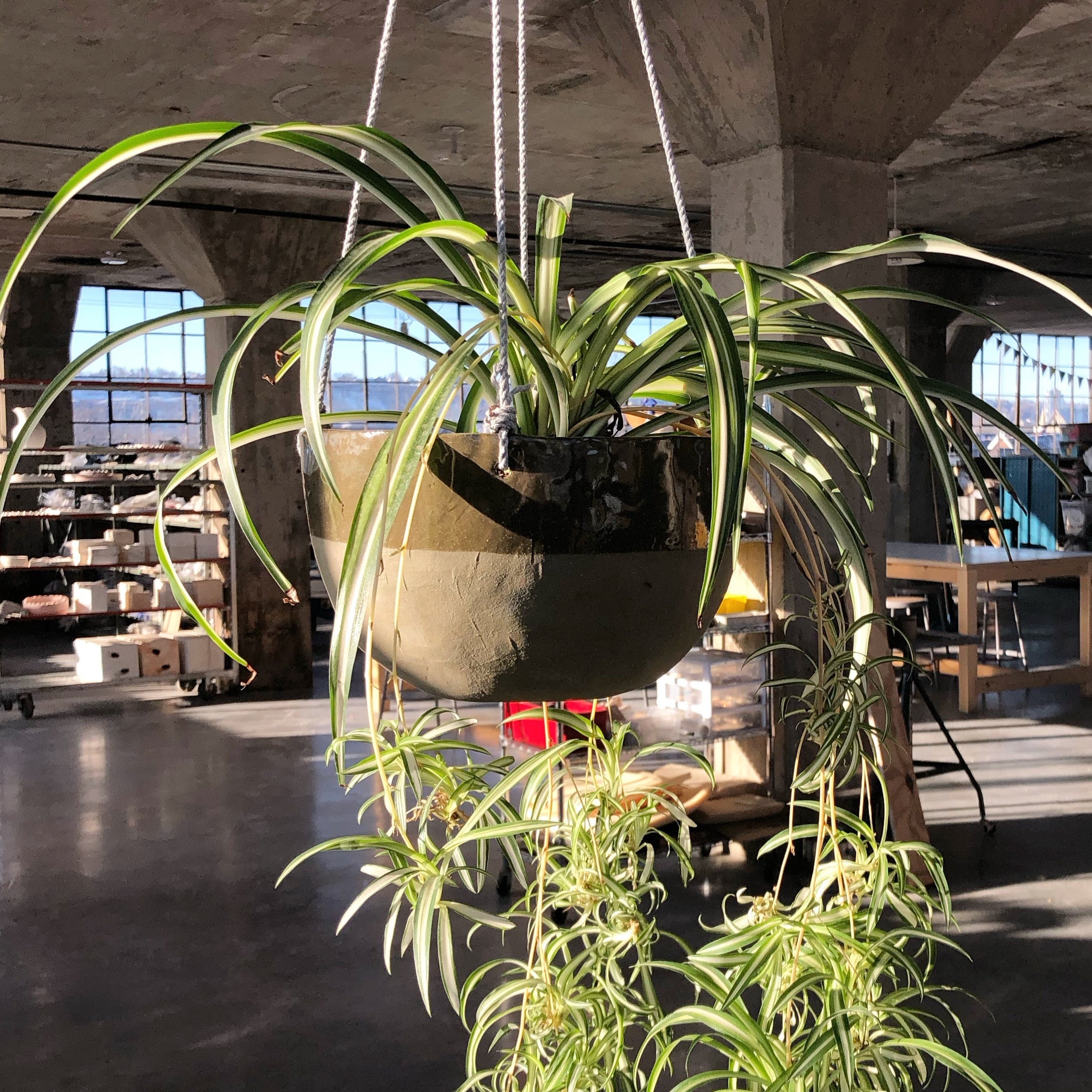 Clay Plant Pots <BR> 4 Weeks